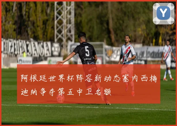 阿根廷世界杯阵容新动态塞内西梅迪纳争夺第五中卫名额