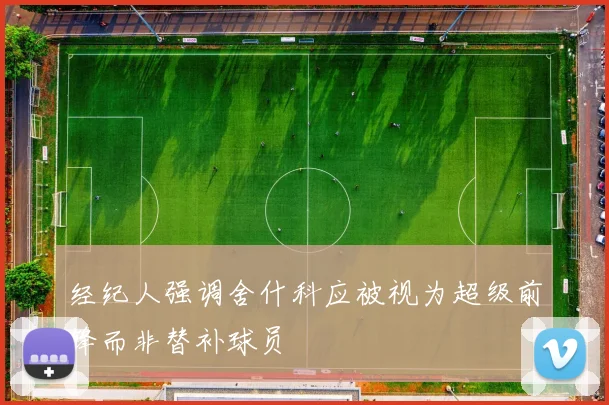 经纪人强调舍什科应被视为超级前锋而非替补球员